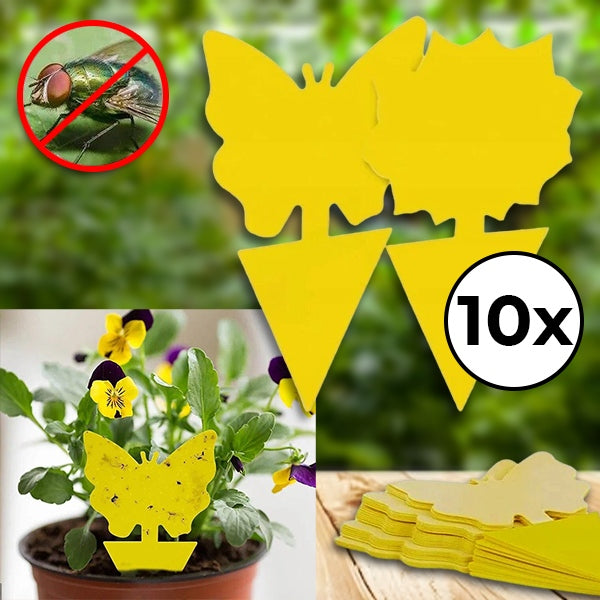 Capcane lipicioase pentru insecte