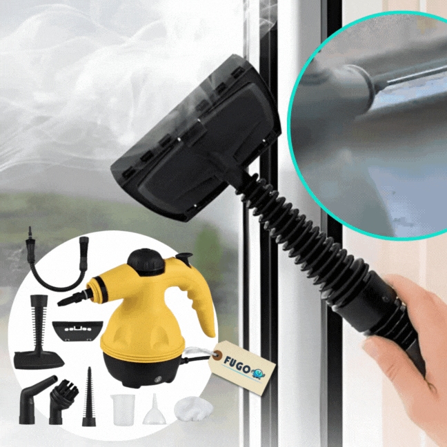 Curatator cu abur profesional