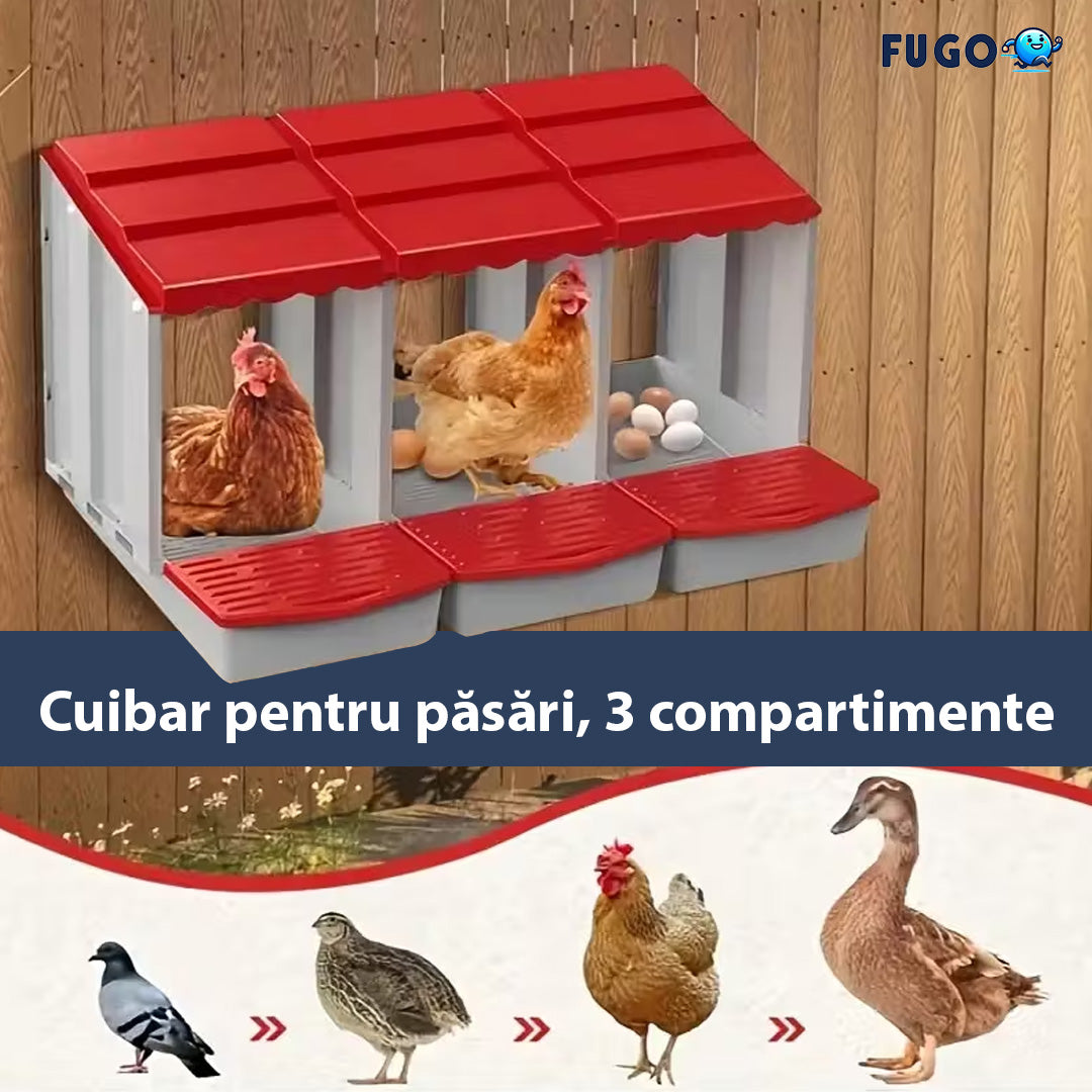 Cuibar pentru pasari, 3 compartimente
